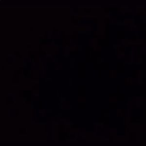 Meet your Posher, Evan